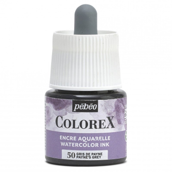 colorex Flasche - Paynesgrau