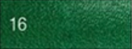 16 - Cactus Green