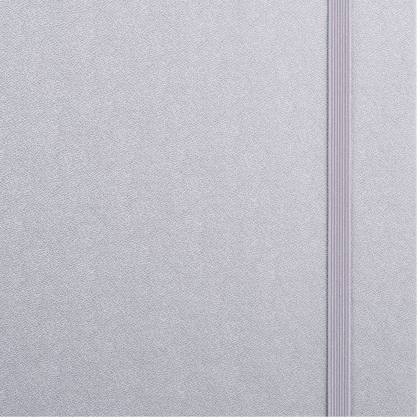 Shiny Silver (metallic)