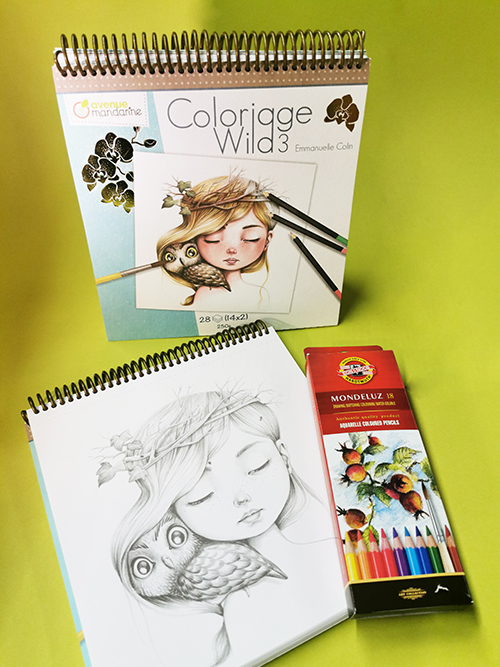 meinmangashop  coloring book  18 watercolor crayons
